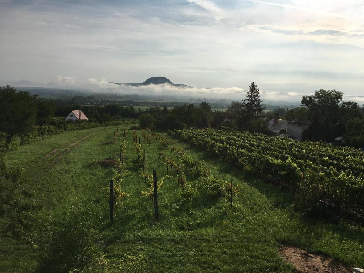 Ágnes almái Ágnes apples Kisapati Exterior foto