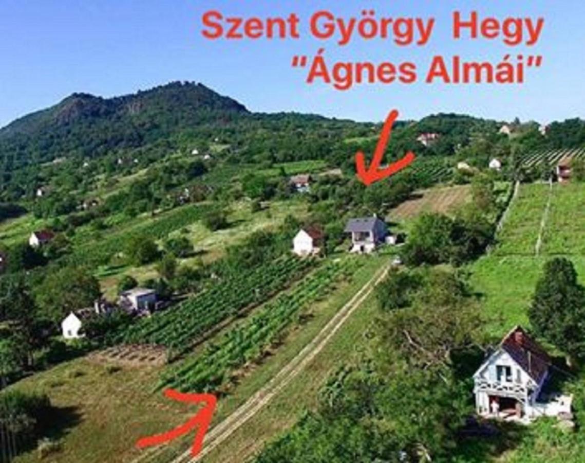 Ágnes almái Ágnes apples Kisapati Exterior foto