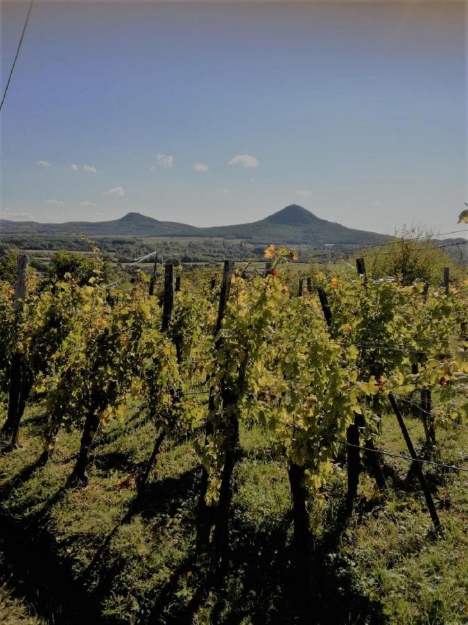 Ágnes almái Ágnes apples Kisapati Exterior foto