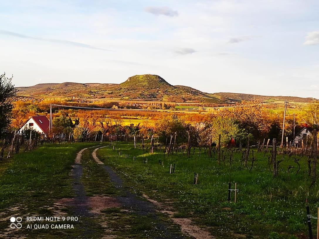 Ágnes almái Ágnes apples Kisapati Exterior foto