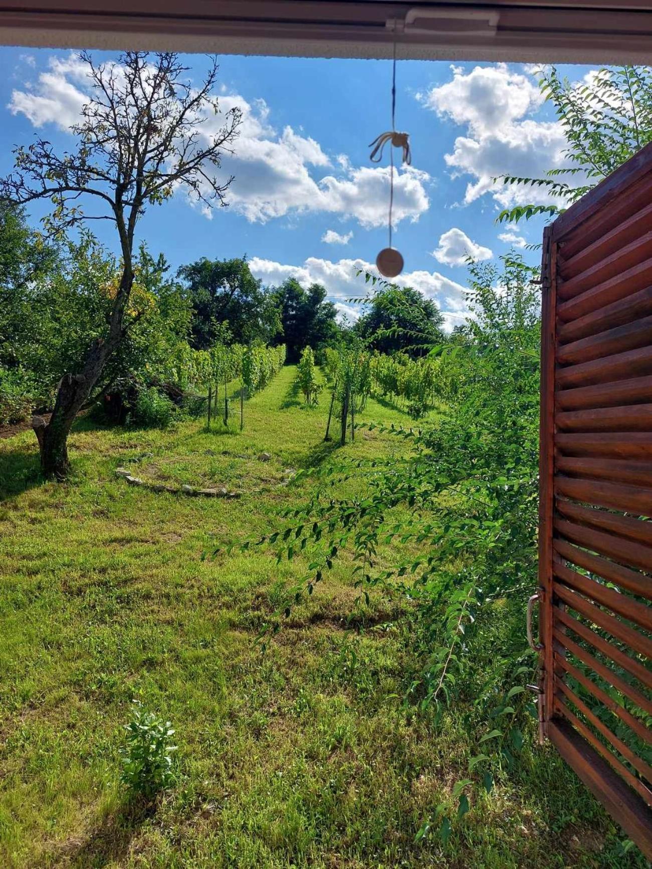 Ágnes almái Ágnes apples Kisapati Exterior foto